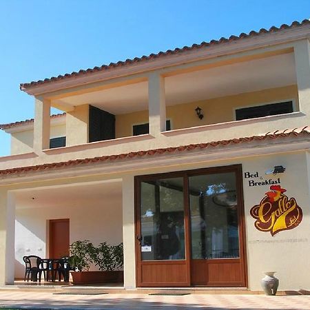 Hotel Gallo Spot à San Teodoro  Extérieur photo